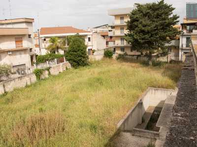 Ci affacciamo sul retro dell'asilo, rendendoci conto ancora una volta della "prepotenza" della vegetazione spontanea del giardino